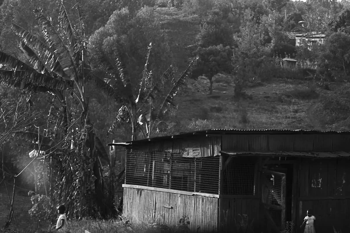 Fracture (i) Kirinyaga Gallery Image 12