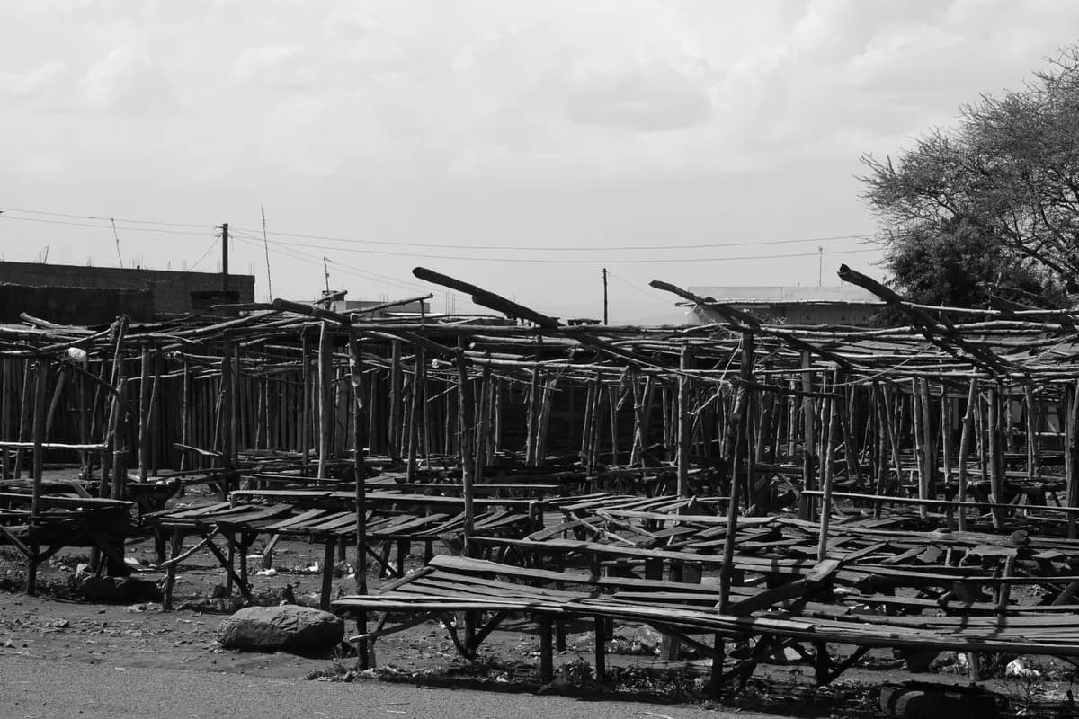 Fracture (i) Kirinyaga Gallery Image 17