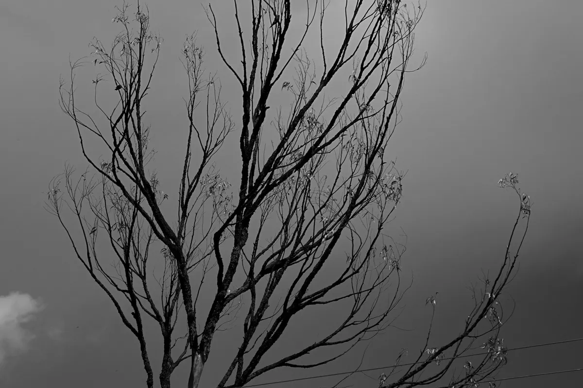 Fracture (i) Kirinyaga Gallery Image 23