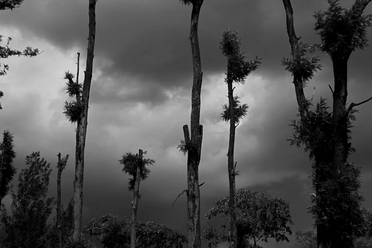 Fracture (i) Kirinyaga Gallery Image 24