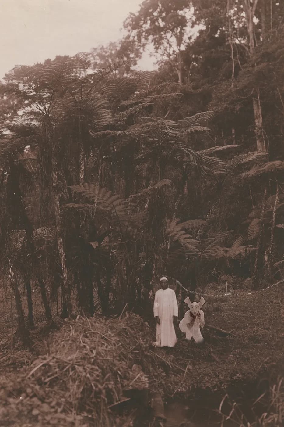 Kaspale’s Archive Intrusion / The Post Card Series