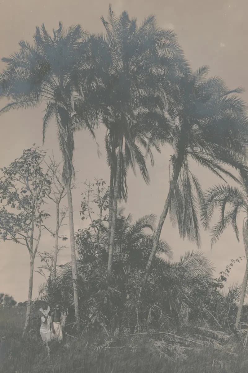 Kaspale’s Archive Intrusion / The Post Card Series Gallery Image 1
