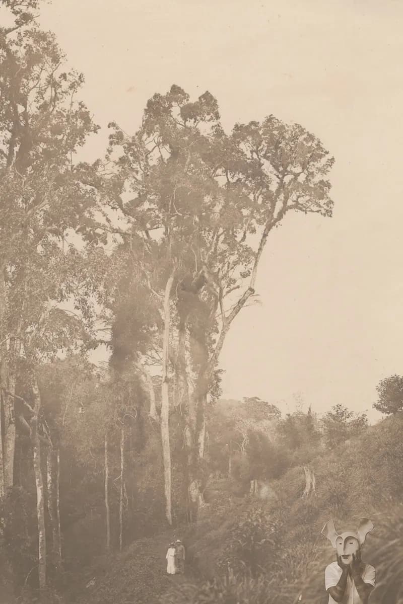 Kaspale’s Archive Intrusion / The Post Card Series Gallery Image 4