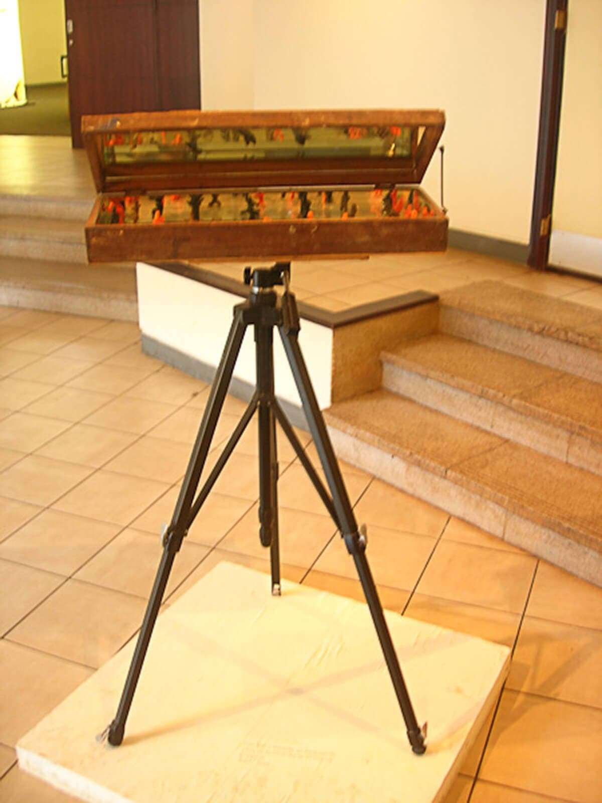 Peep Box Gallery Image 2